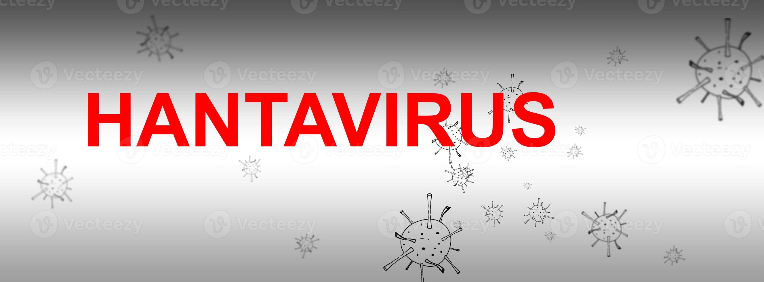 Hantavirus word cloud concept on grey background photo