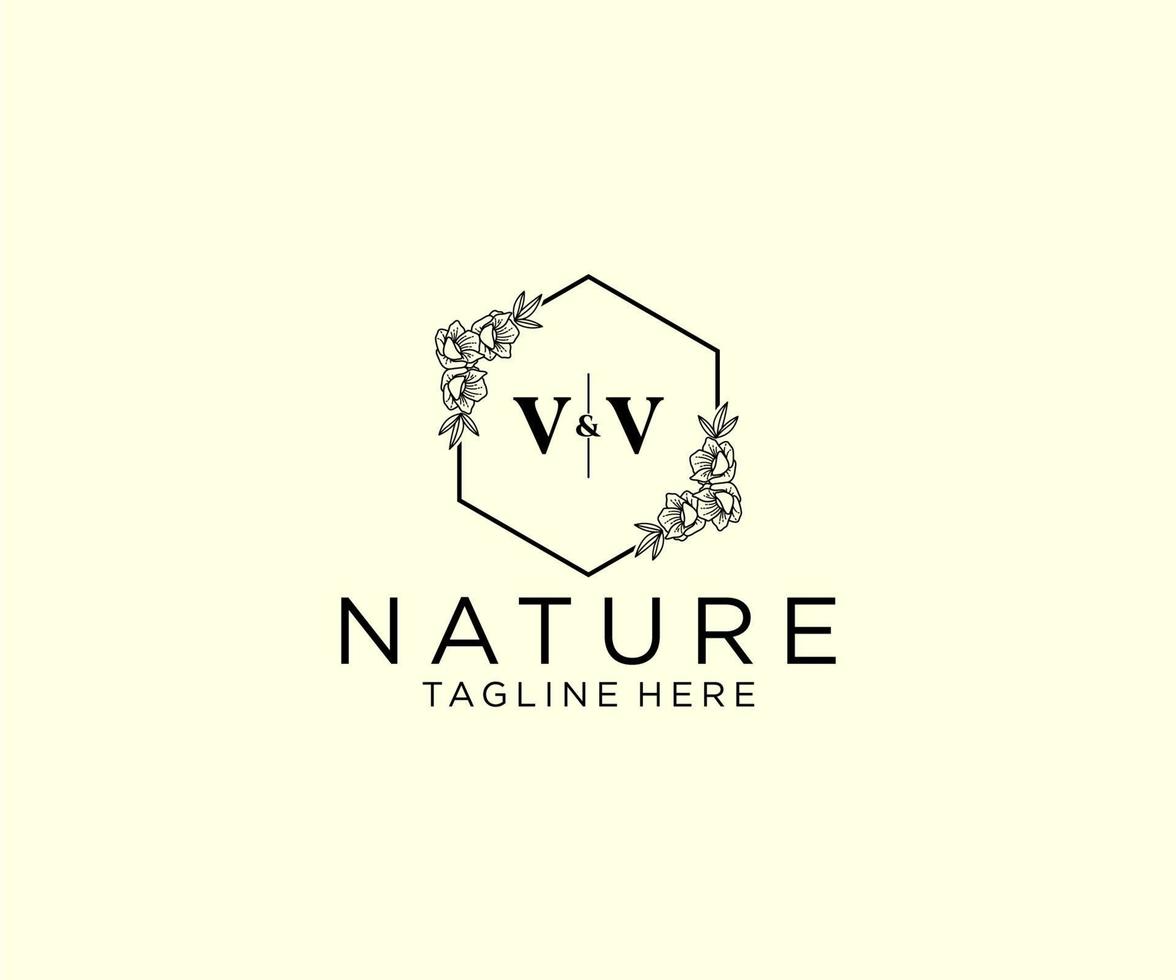 initial VV letters Botanical feminine logo template floral, editable premade monoline logo suitable, Luxury feminine wedding branding, corporate. vector