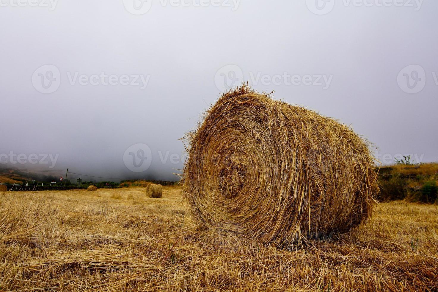 Scenic rural landscape photo