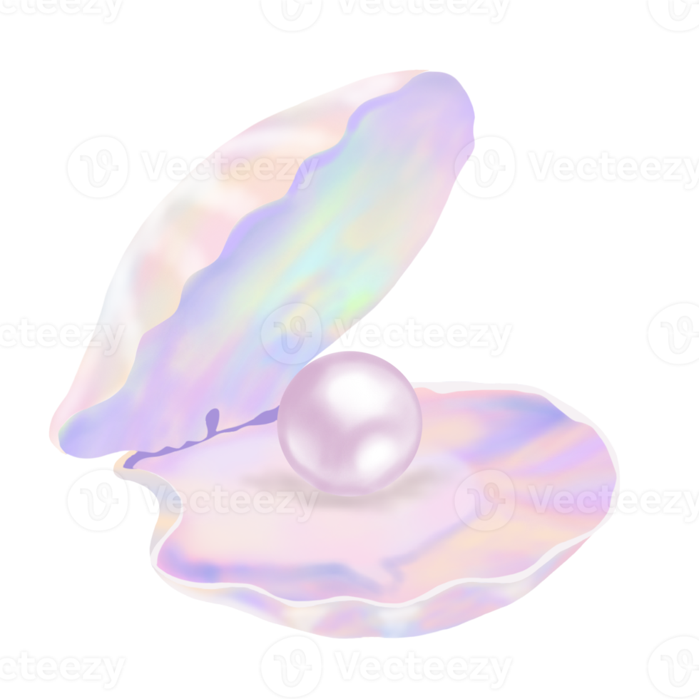 perle dans une pastel coquille png