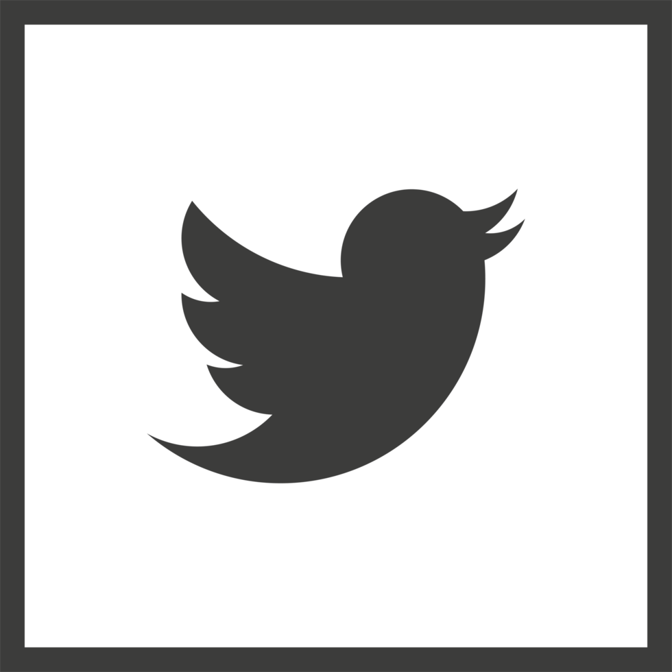 Twitter Logo Icon 22227336 PNG