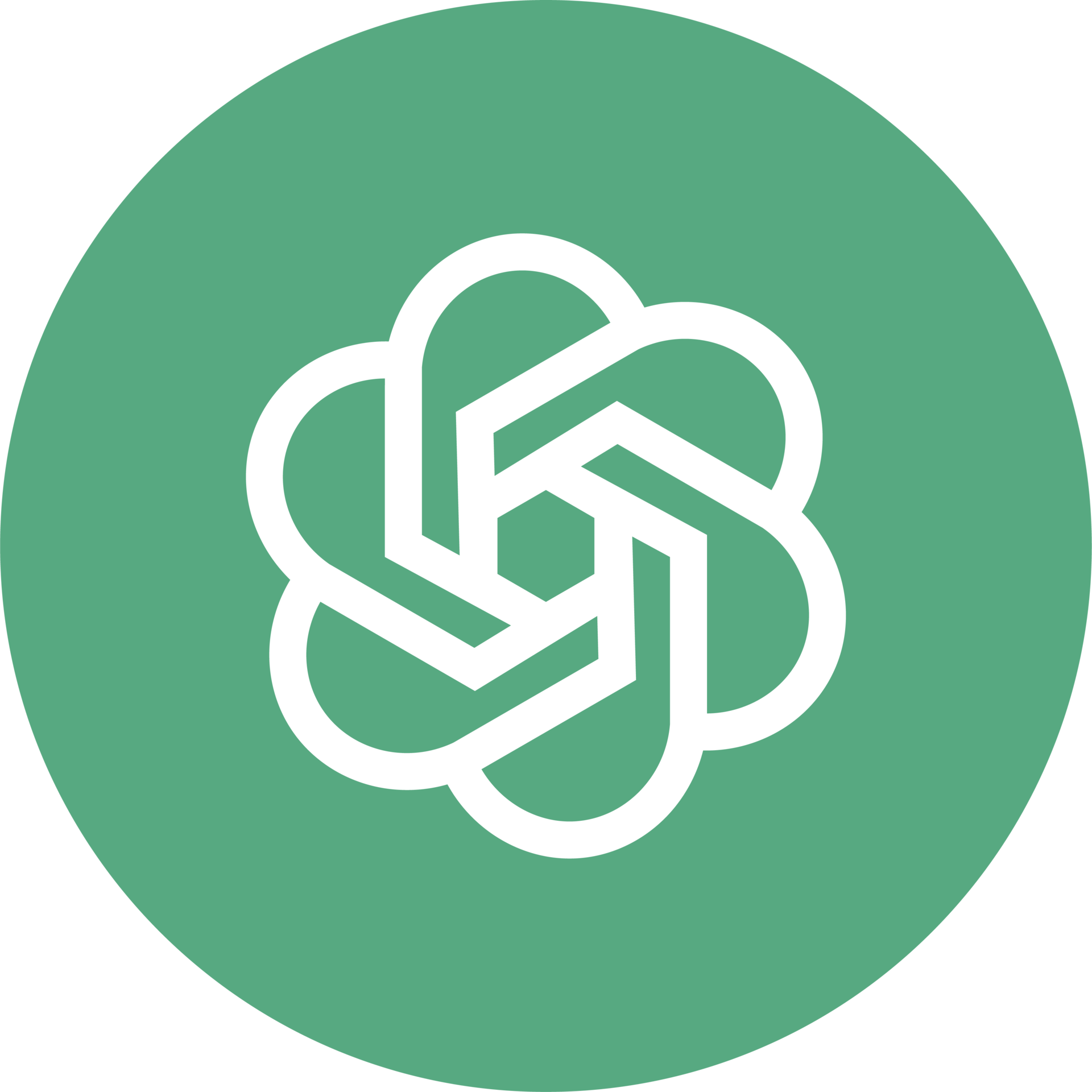 OpenAI ChatGPT Logo Icon 22227367 PNG