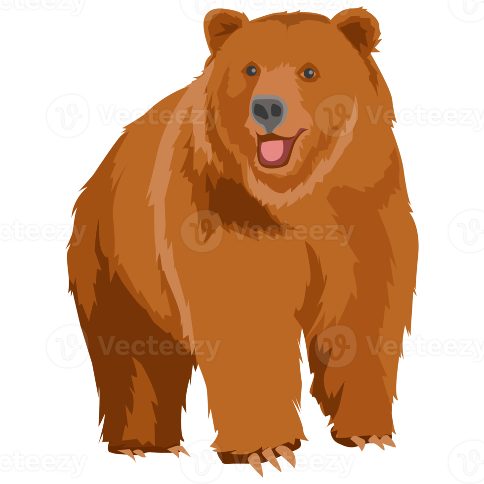 ours grizzly sauvage png
