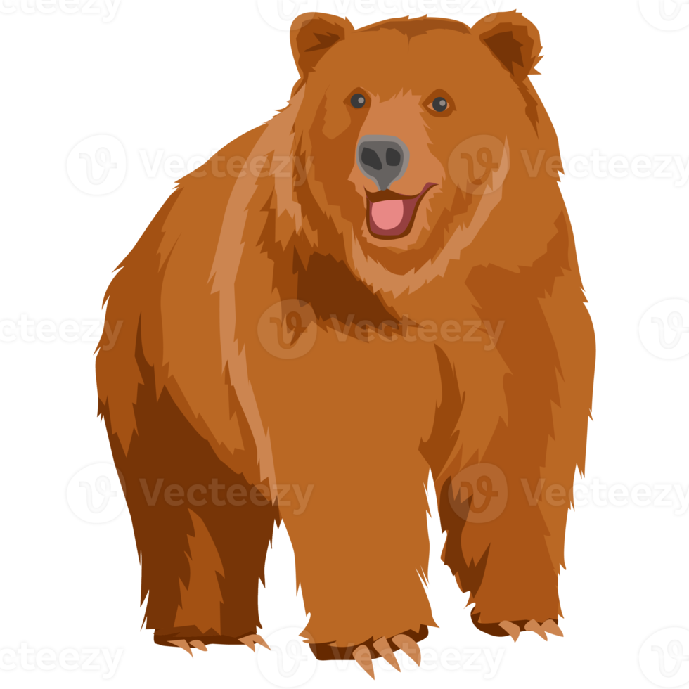 wilder Grizzlybär png