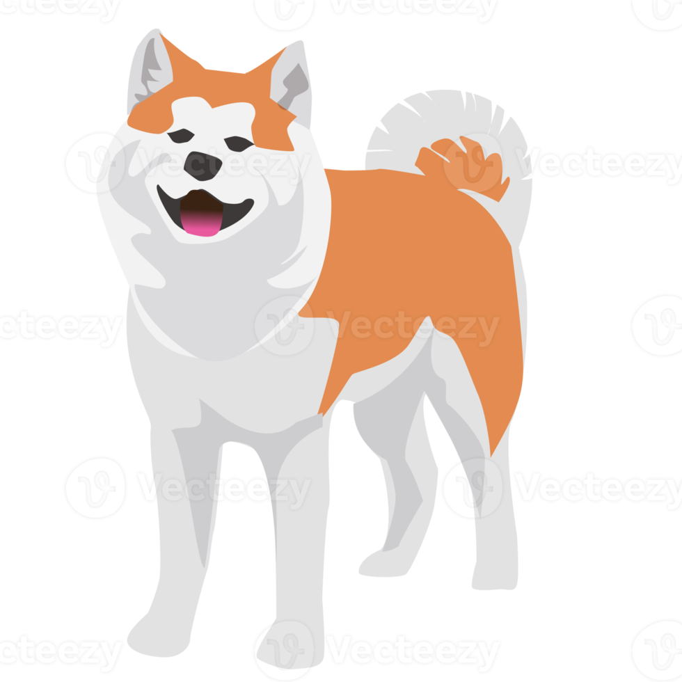 Shiba inu akita dog and puppy png
