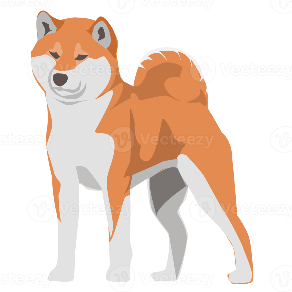 Shiba inu akita dog and puppy png