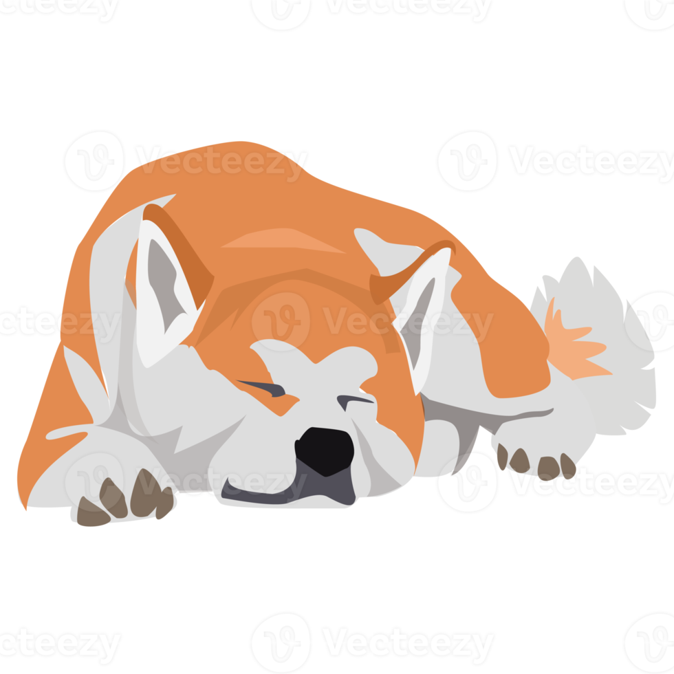 shiba inu akita hund och valp png