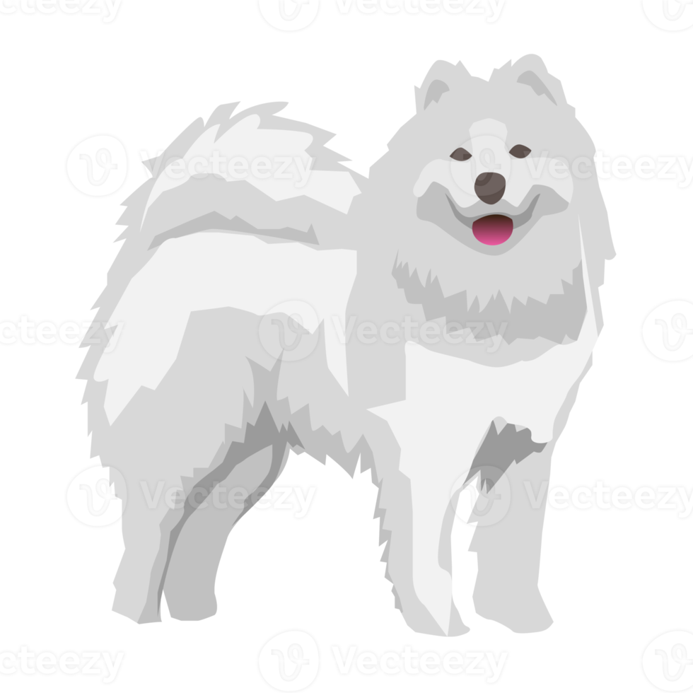 Samoyedo perro y perrito linda mascota png