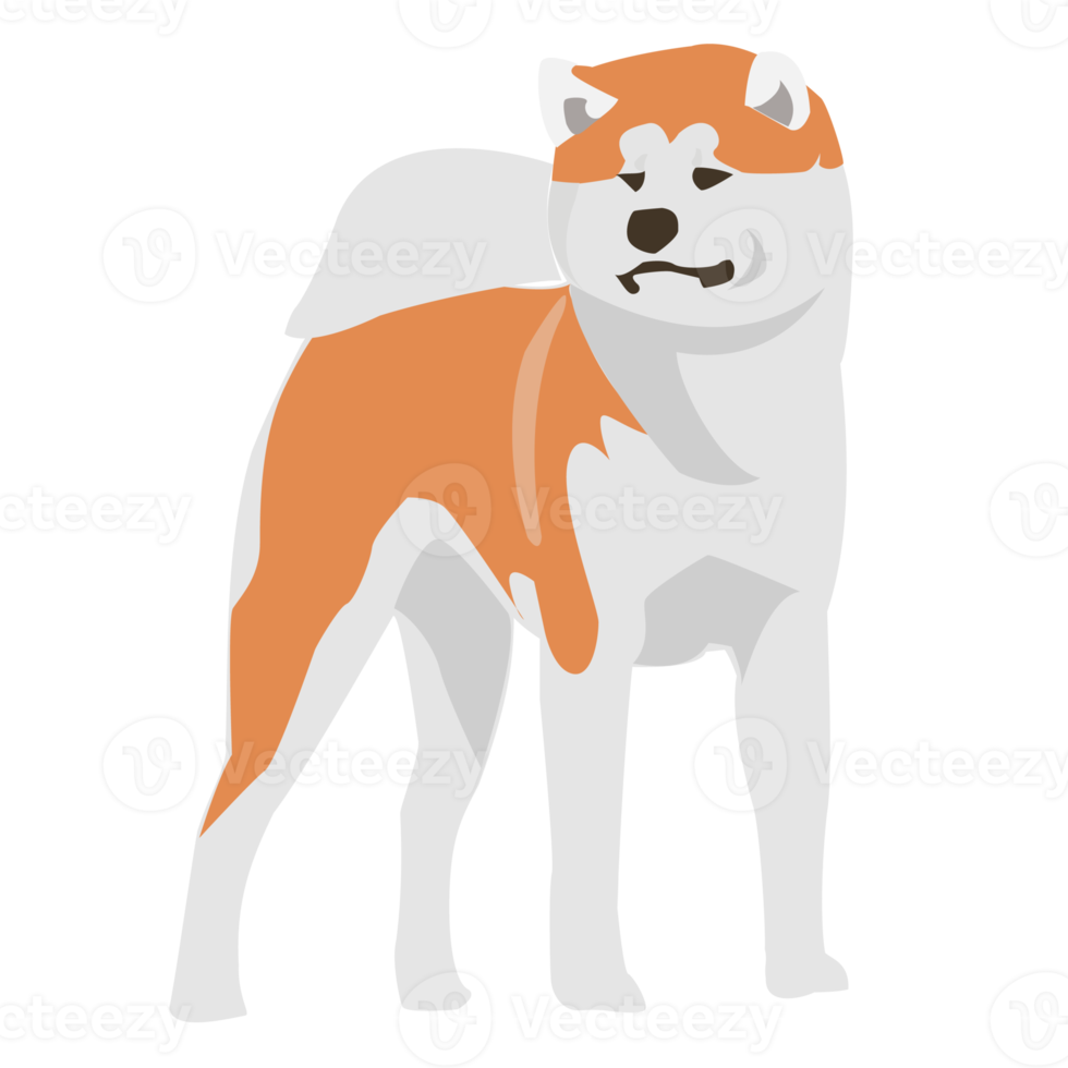 Shiba inu akita dog and puppy png