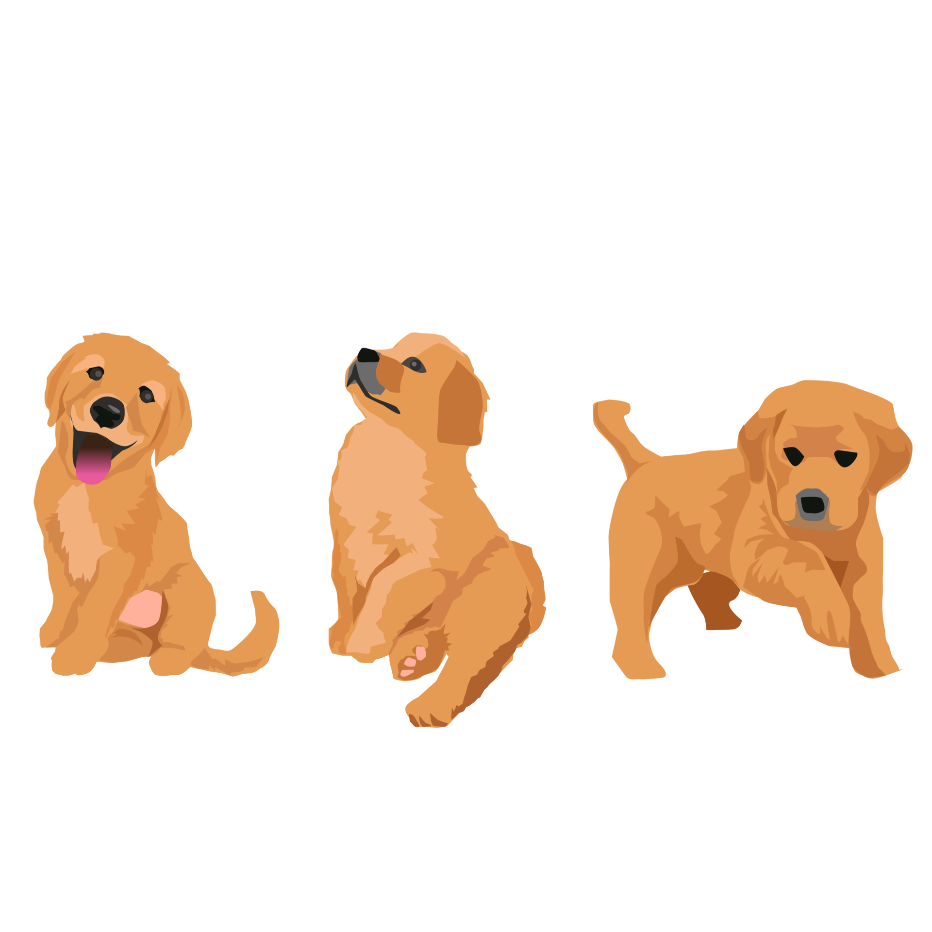 dourado-retriever-fofa-cachorro-e-cachorro-22227499-png