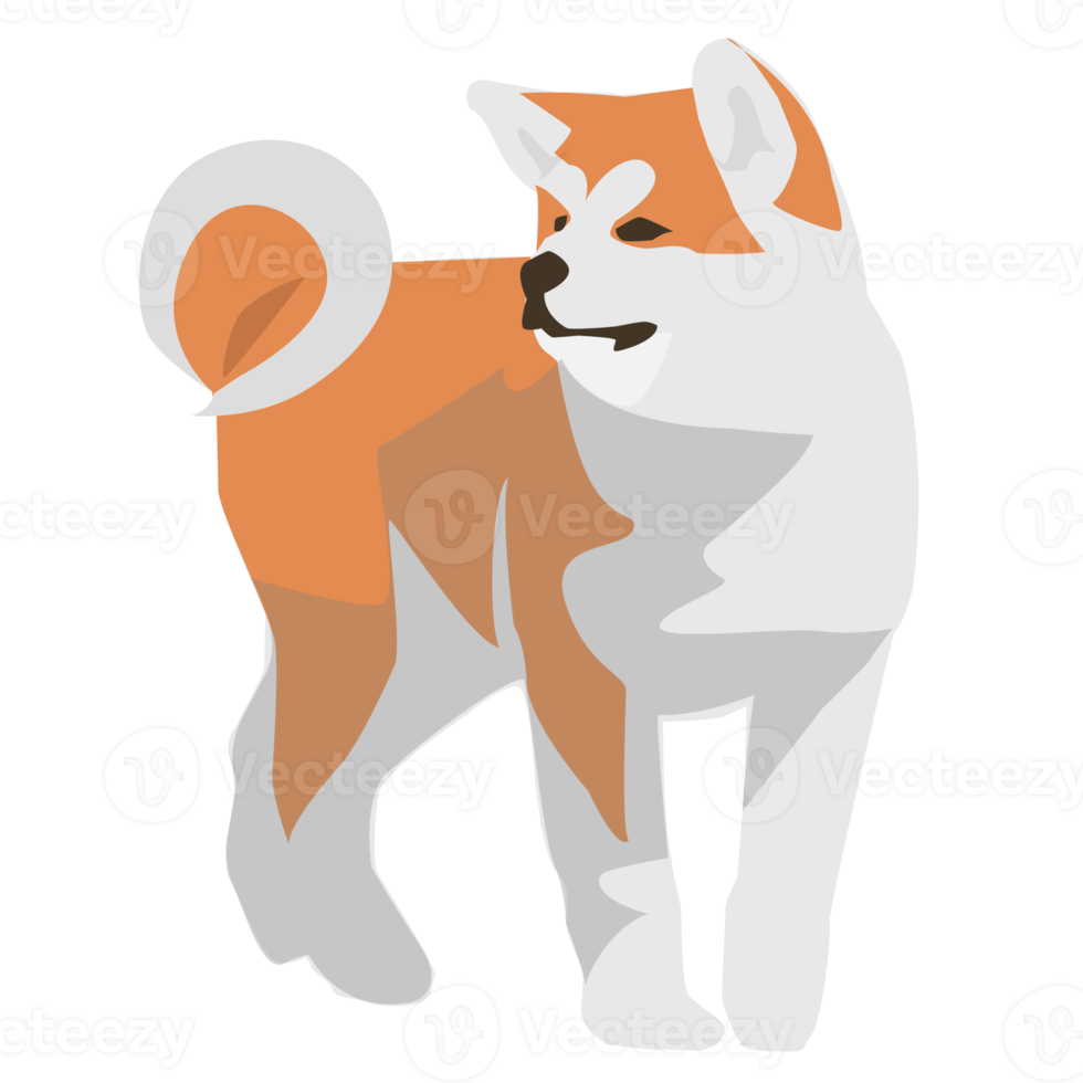 Shiba inu akita dog and puppy png