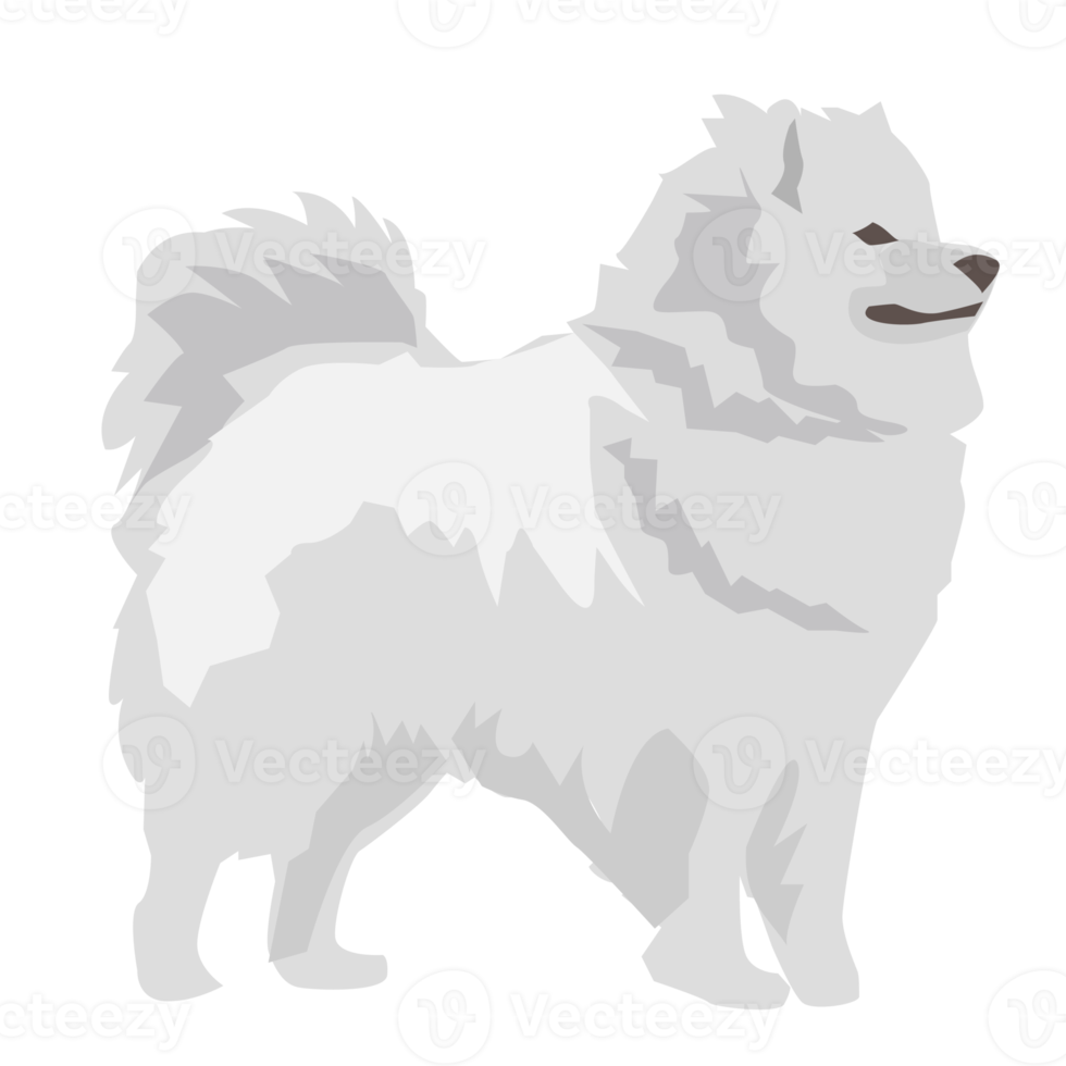 Samoyedo perro y perrito linda mascota png