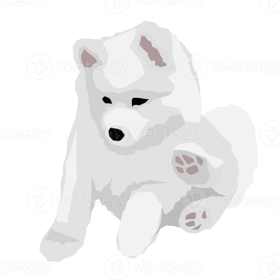 Samoyedo perro y perrito linda mascota png