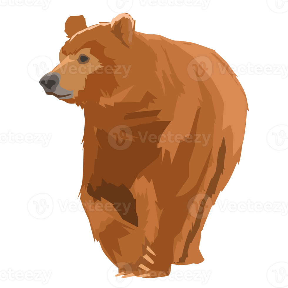 wild grizzly bear png