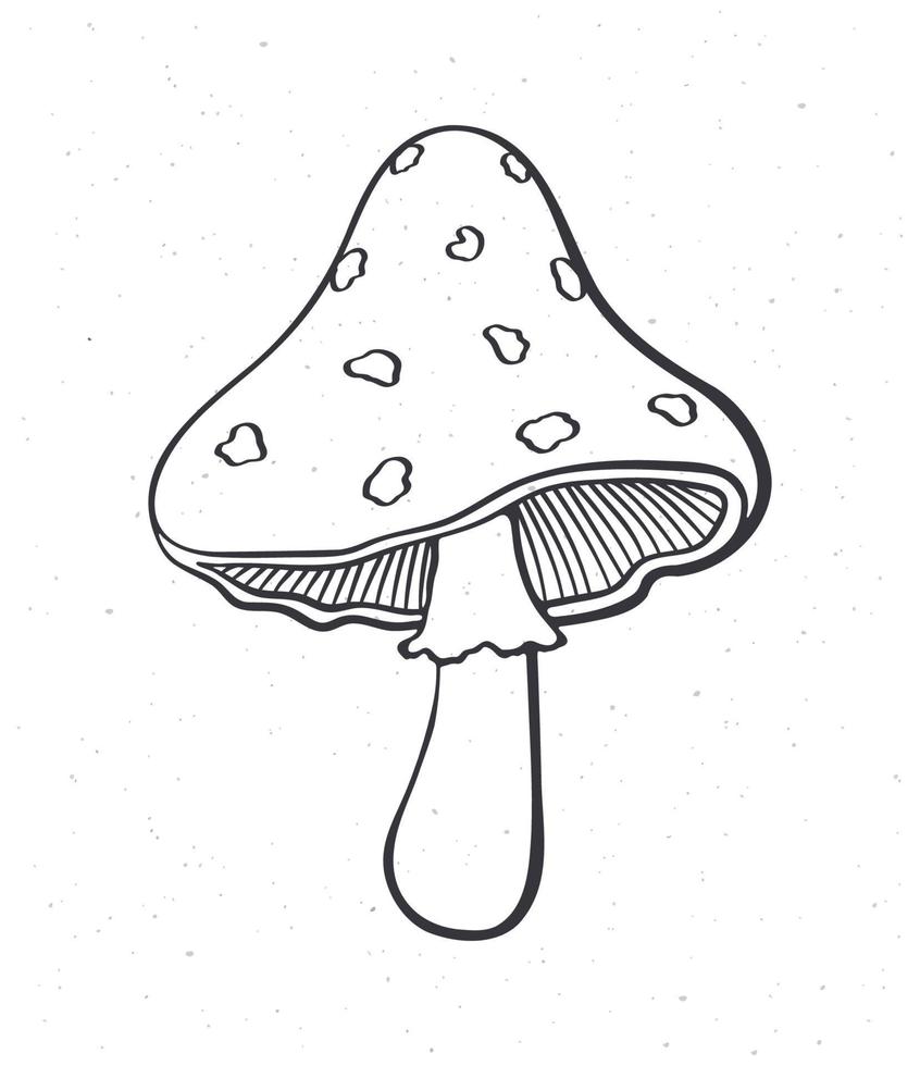 Outline doodle of amanita mushroom vector