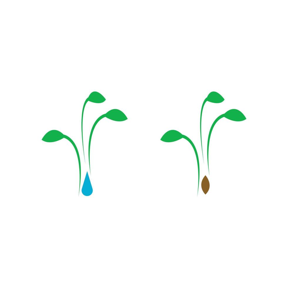 set of two sprout plant icons isolated on white background vector