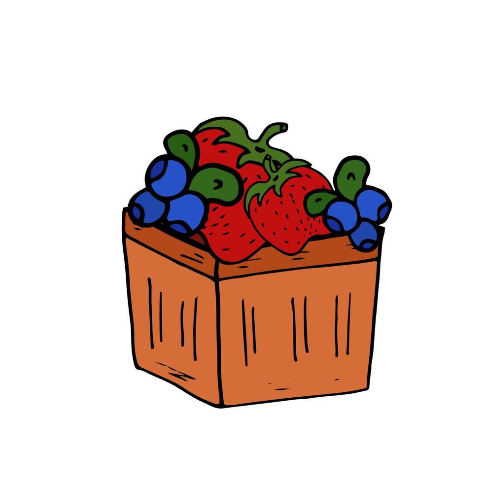 Basket with Strawberry and Blueberry Isolated doodle vector. Concept summer, berries, healthy food. vector