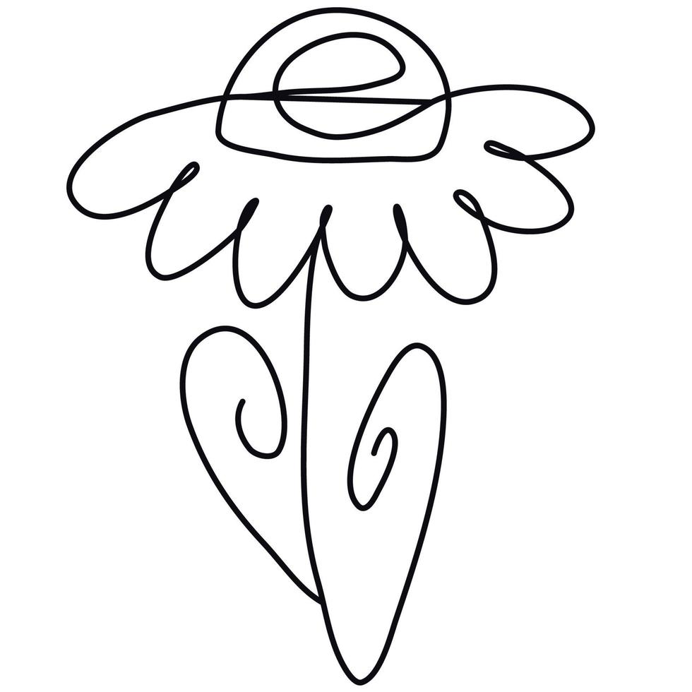 One line hand draw camomile illustration. Vector hand draw flower.