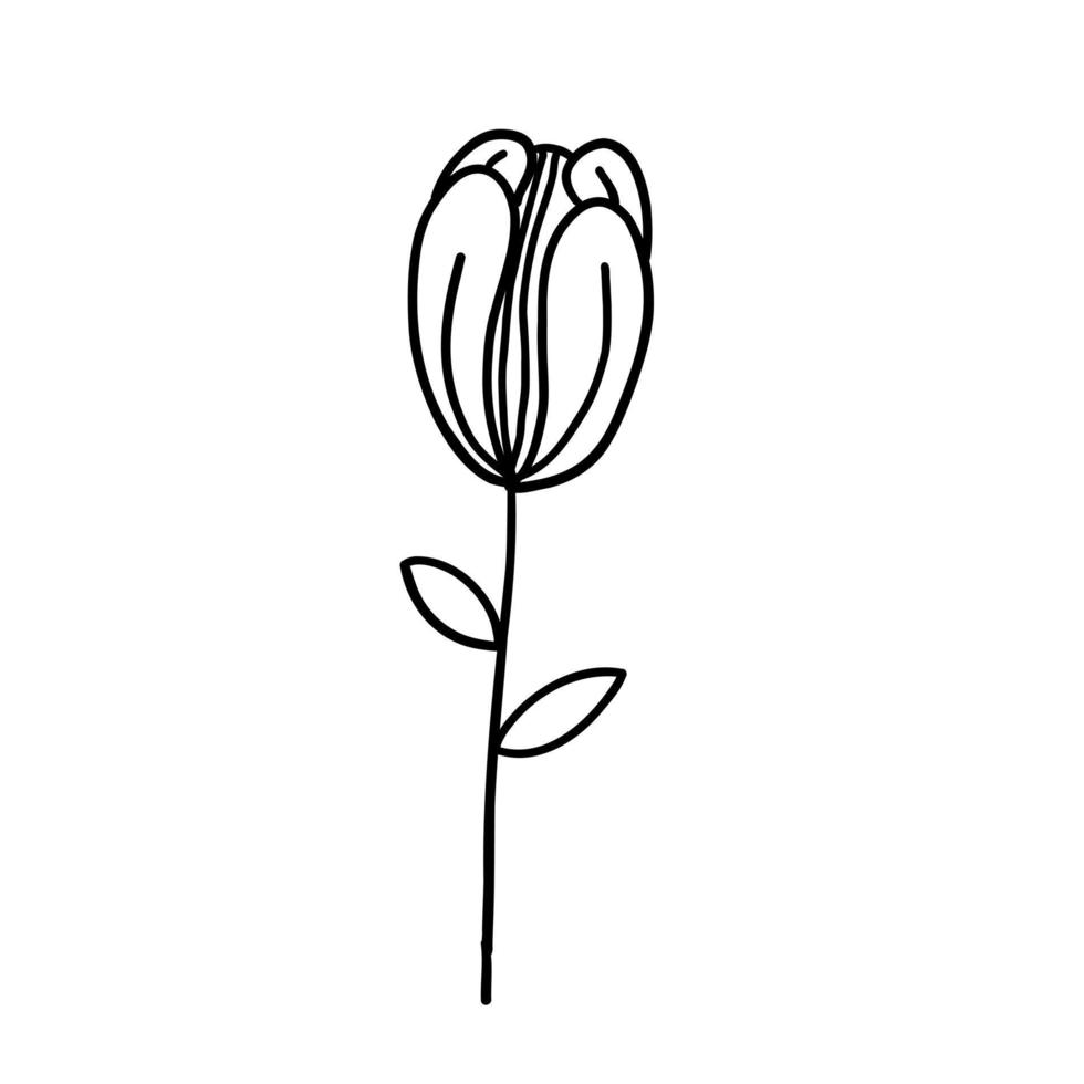Flower in outline doodle flat style for coloring. Simple floral element plant leaves decorative design. Hand drawn line art. Creative sketch. Vector illustration isolated on white background.