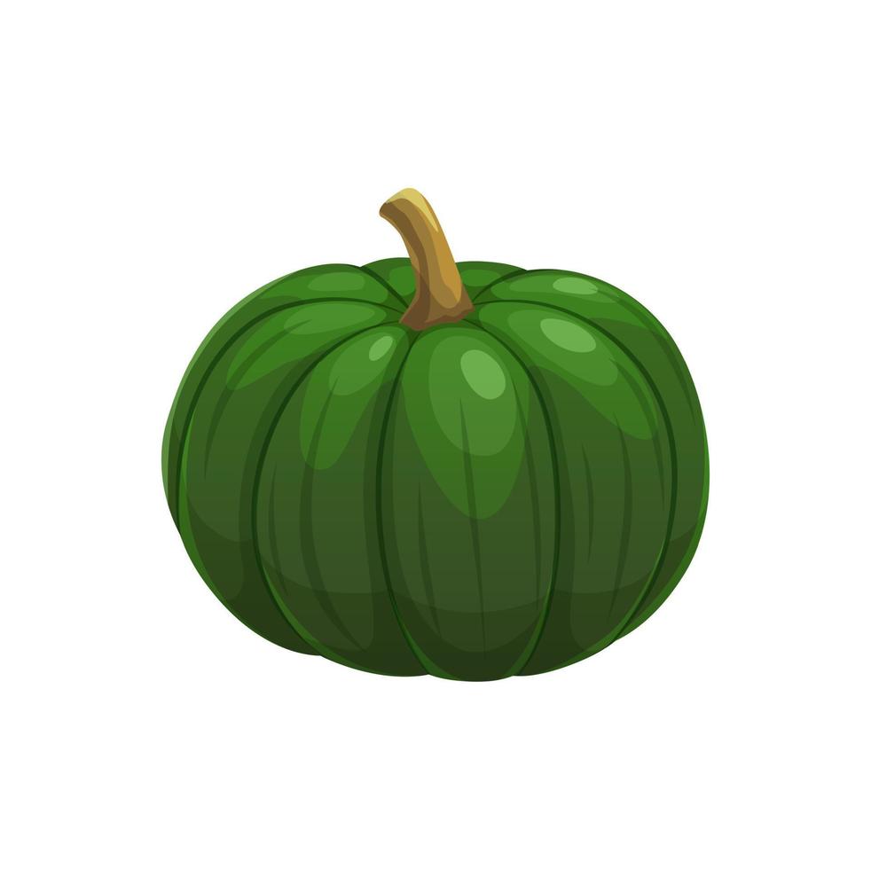 Cartoon raw pumpkin vegetable, farm veggie harvest vector