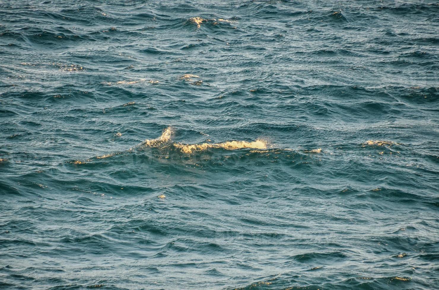 View of the sea photo
