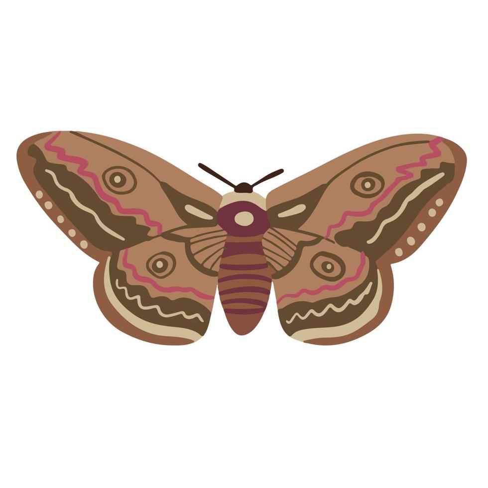 beautiful brown moth, good for graphic design resources vector