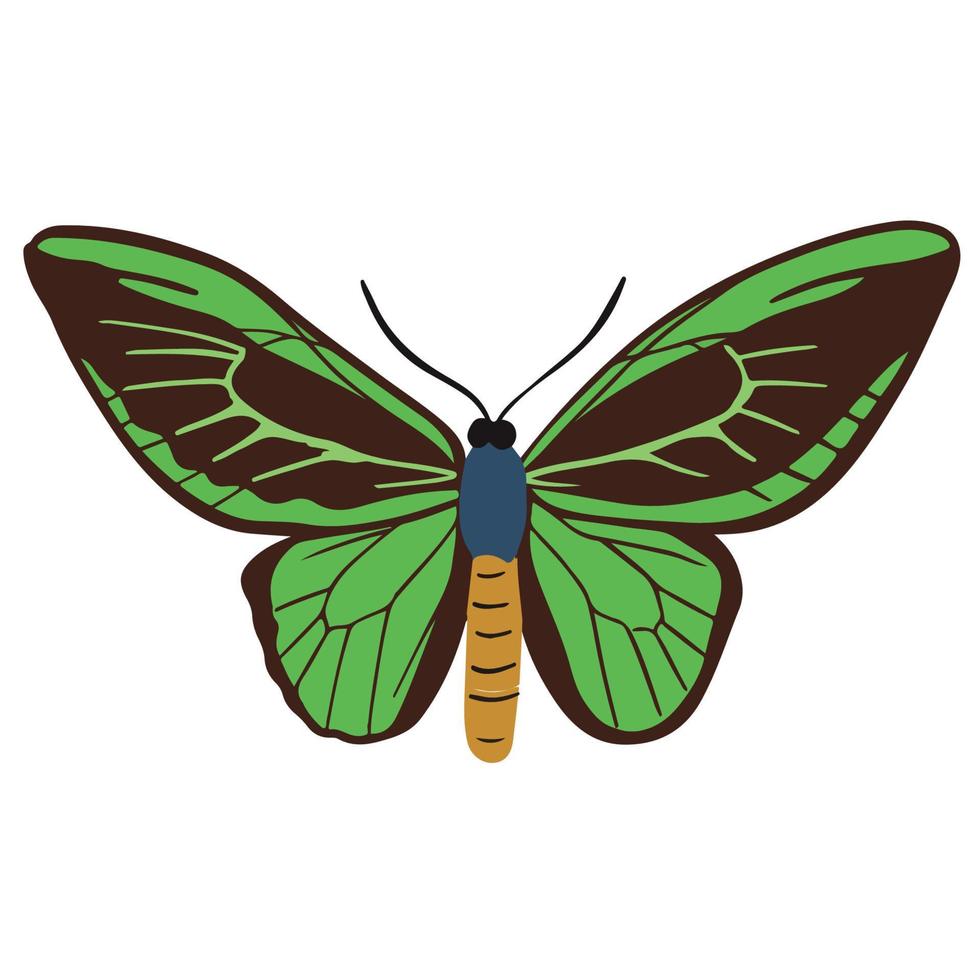 hermosa ligero verde mariposa, bueno para gráfico diseño recursos vector