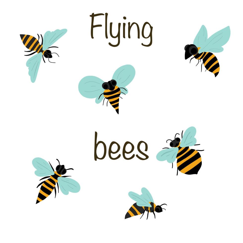 Flying bees set of six types of bees vector