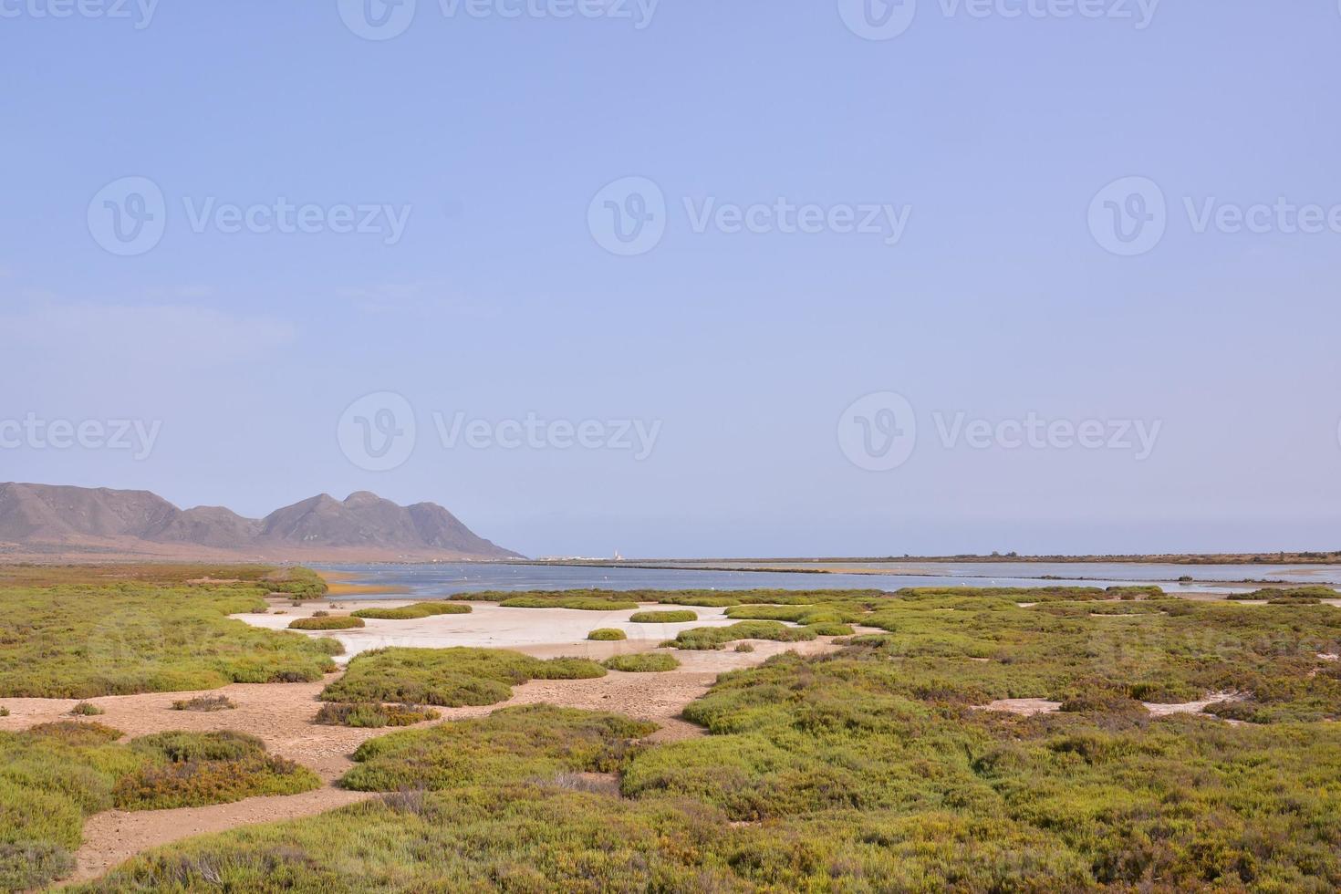 Scenic coastal view photo