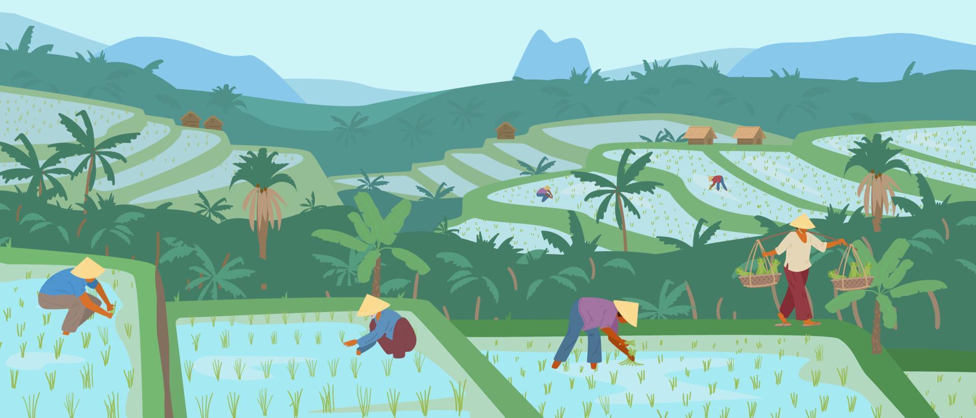 asiático arroz campos con trabajadores en cónico Paja sombreros. tradicional agricultura. vector ilustración.