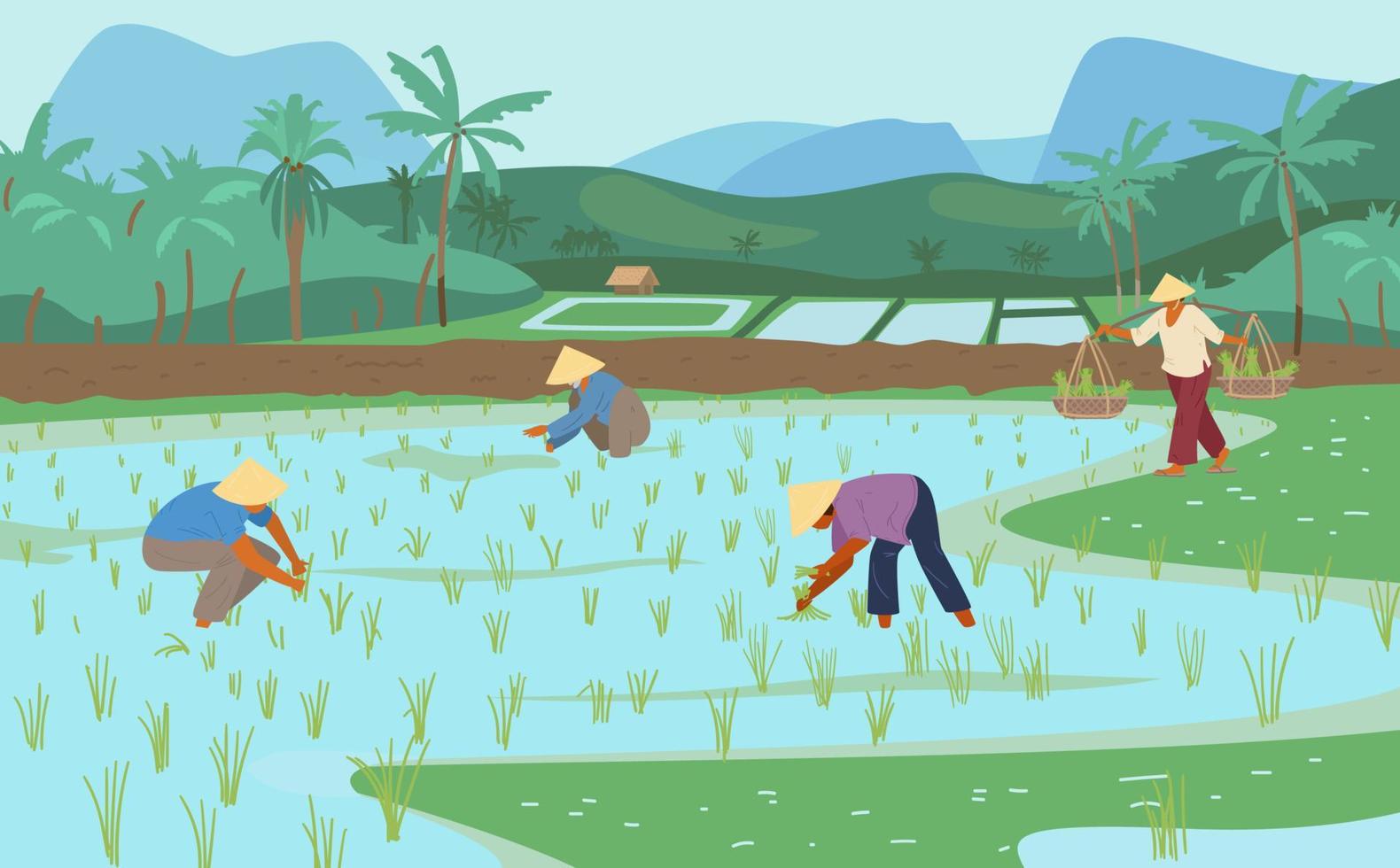 Asian Rice Fields With Workers In Conical Straw Hats. Traditional Agriculture. Vector Illustration.