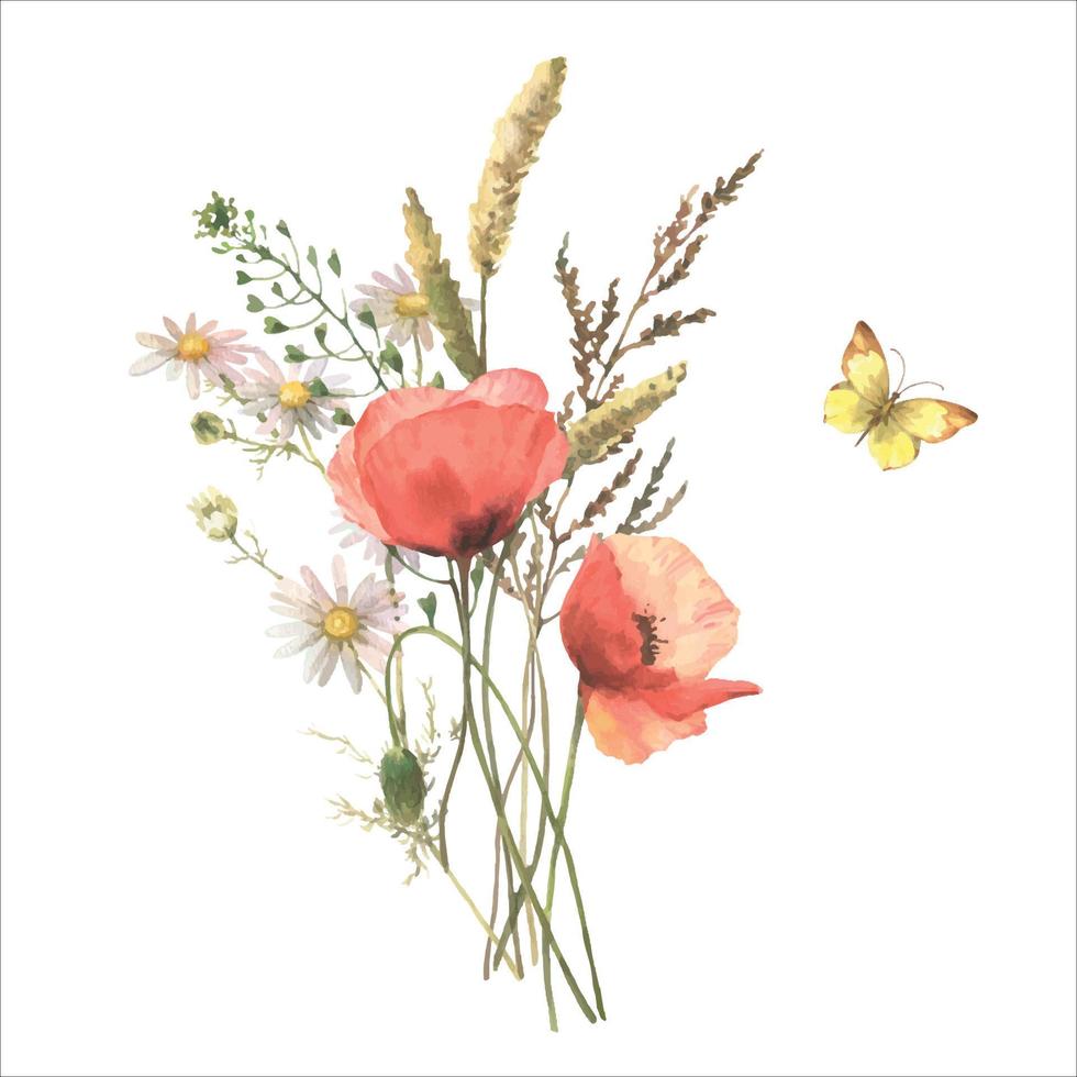 Watercolor wild flower bouquet, red poppies, field herb, chamomile and butterfly, isolated on white background. Good for cosmetics, medicine, treating, aromatherapy, nursing, package, postcards. vector