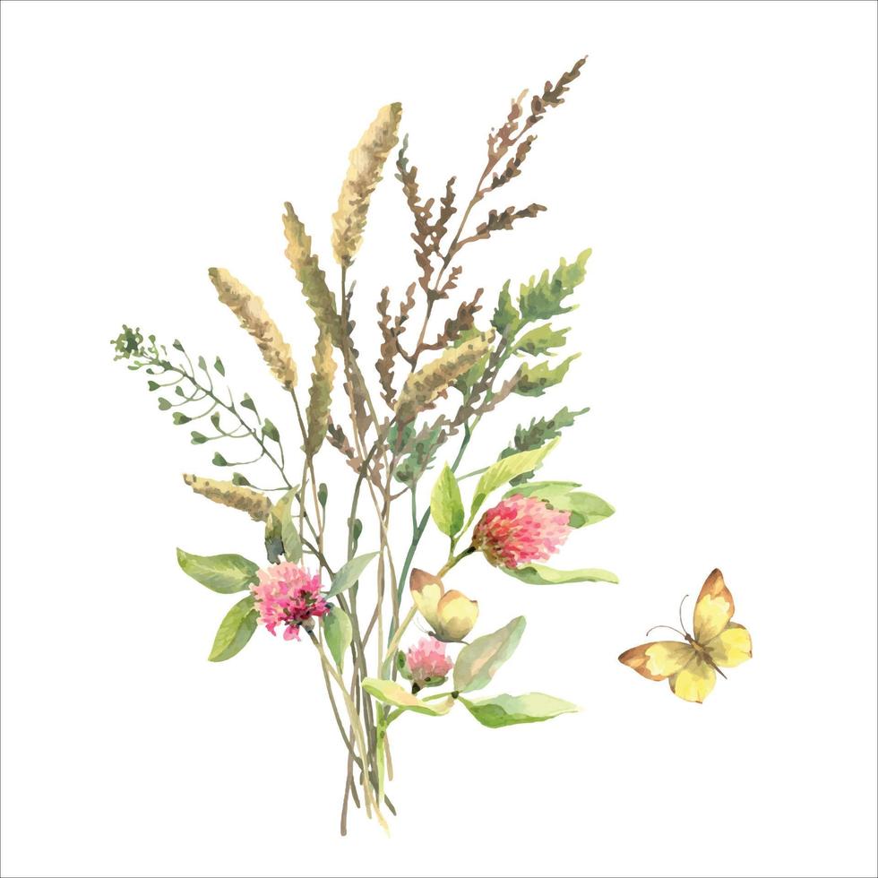 Watercolor vector meadow flowers bouquet of clover, field herbs, capsella and butterfly. Hand painted floral poster of wildflowers isolated on white background