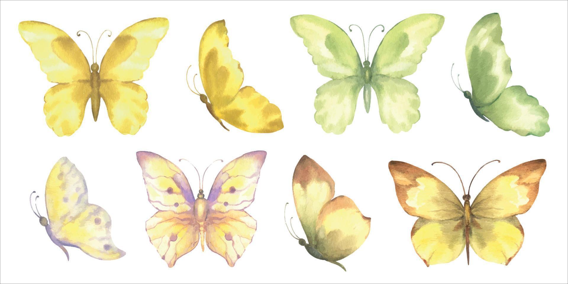 Set of vector watercolor butterflies, yellow and green color, isolate on white background