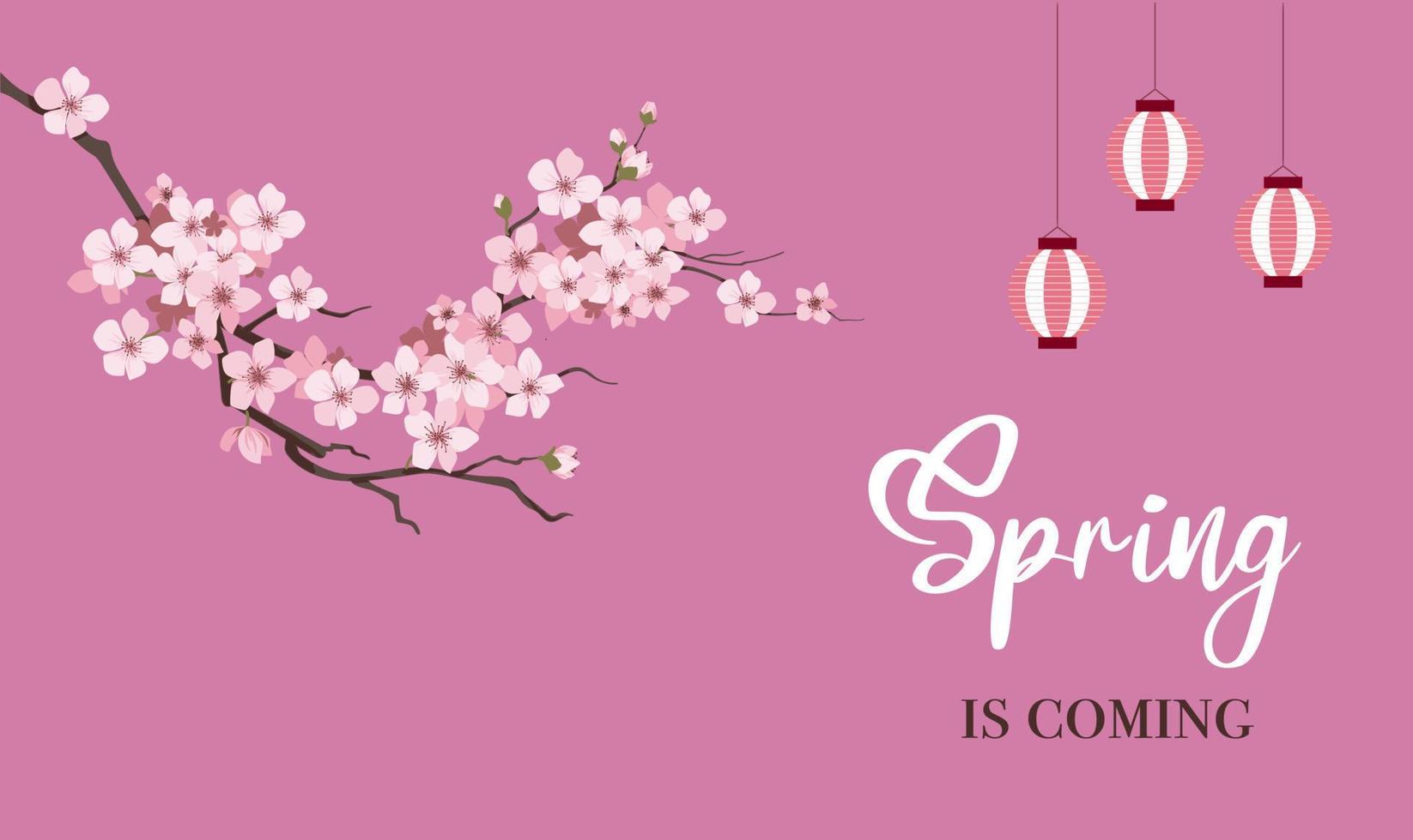 Cherry blossom branch tree vector illustration summer clipart autumn clipart nature forest, Background cherry blossom spring flower Japan, Branch of blooming sakura with flowers, cherry festival