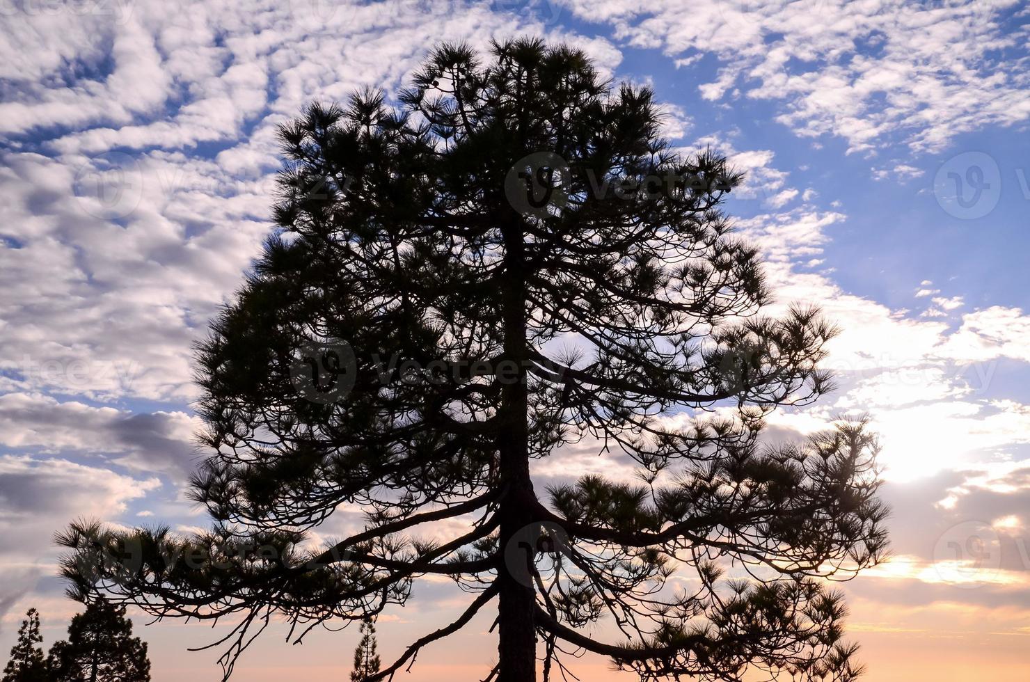 Colourful sky at sunset photo