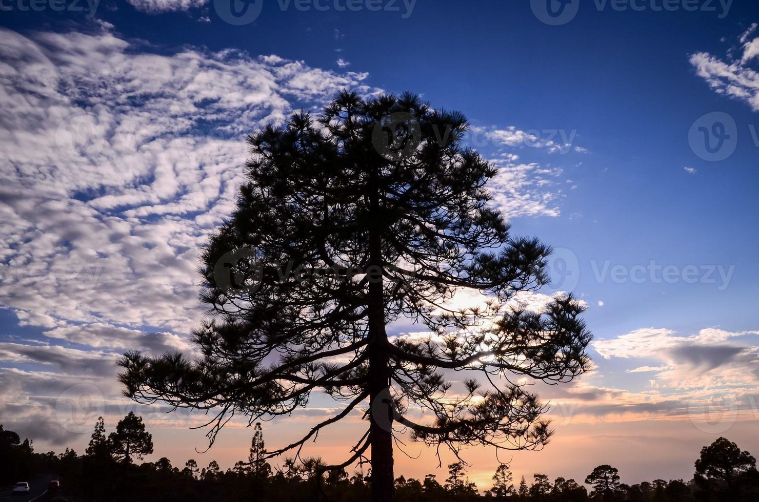 Colourful sky at sunset photo