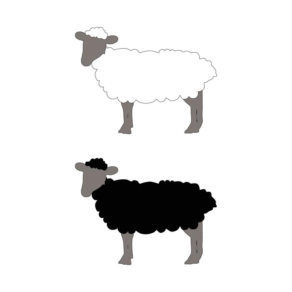 white and black sheep cartoon vector illustration isolated on white background