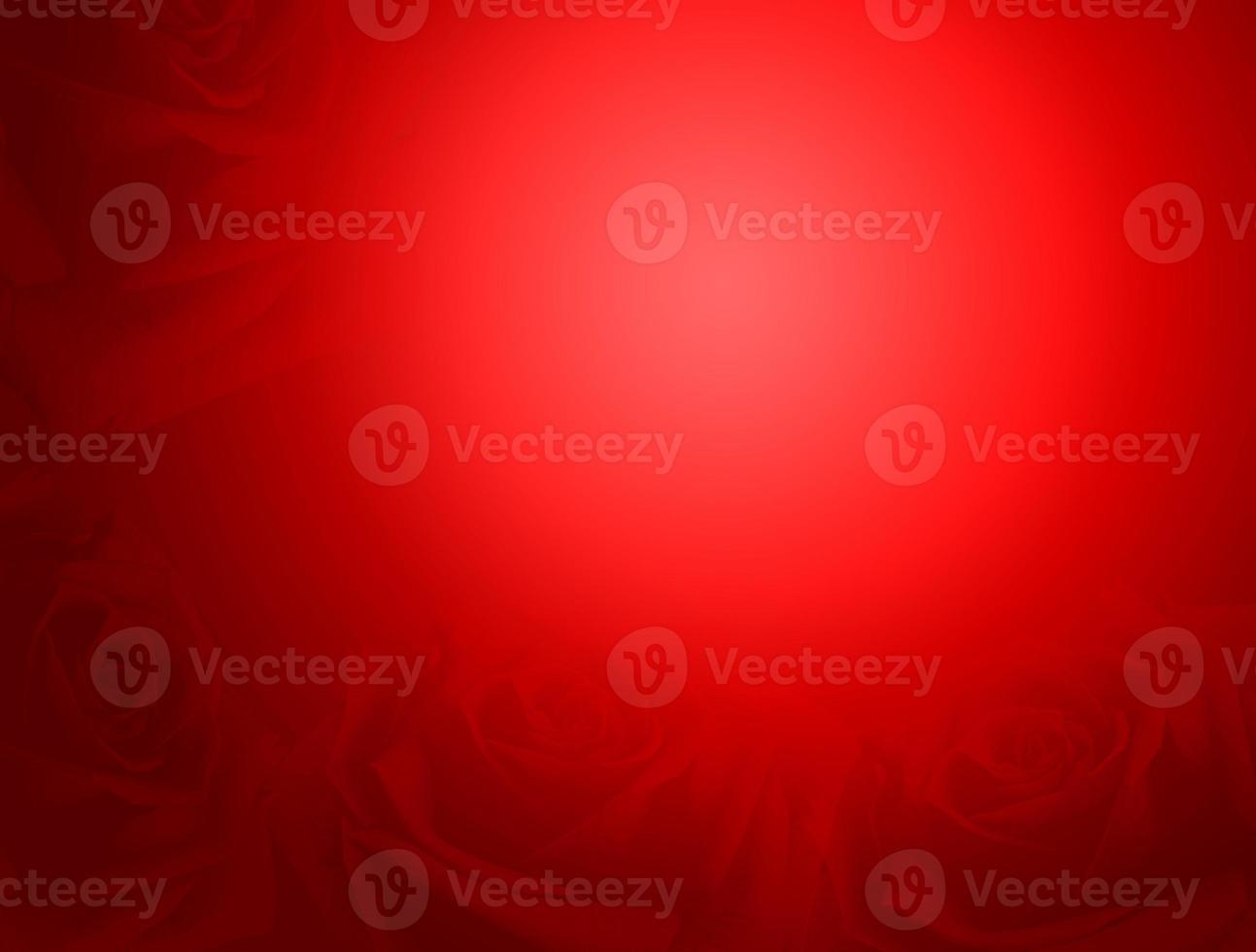 Red background image with soft red rose. for the background photo