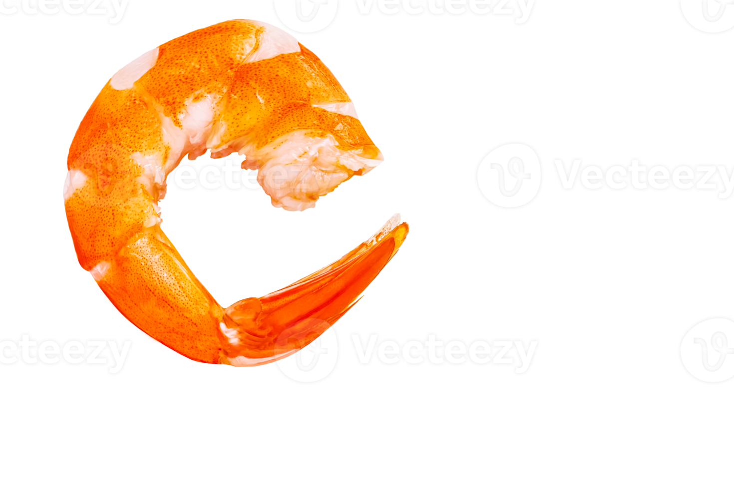 One shrimp in close-up. Transparent background. png