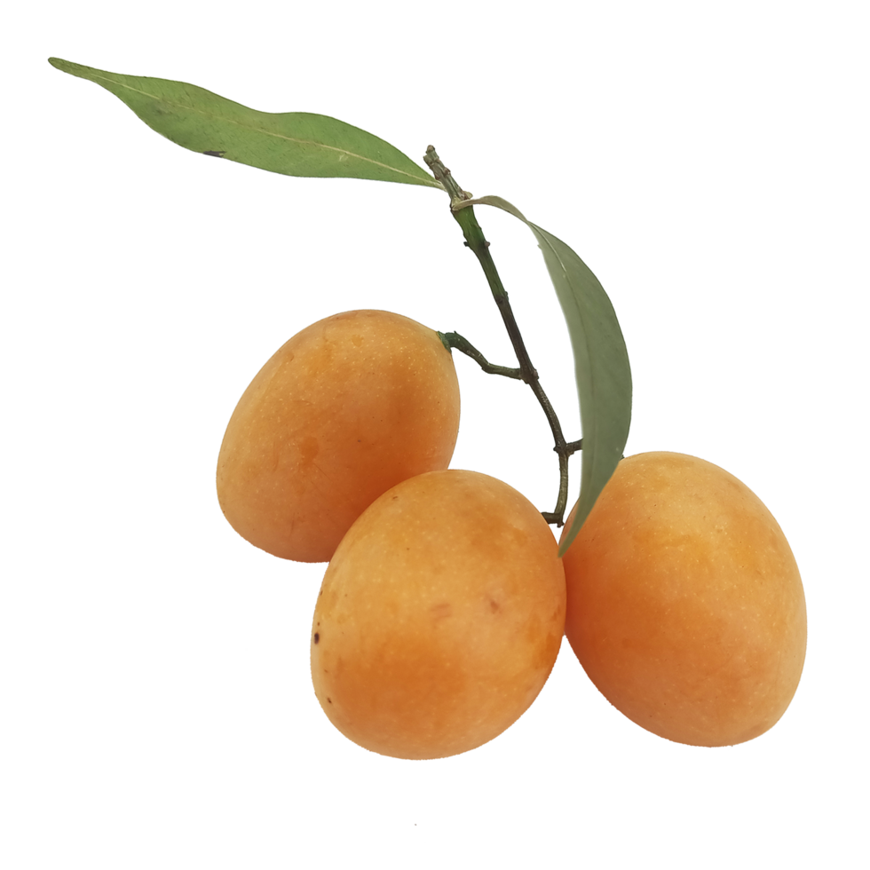 maprang Obst Thailand png Datei