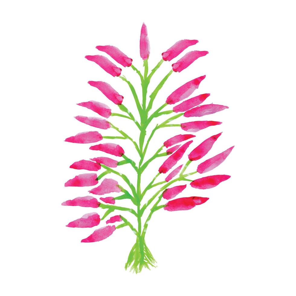 Watercolor painting of flowers. Pink and green watercolor flowers design. Beautiful flowers illustration vector
