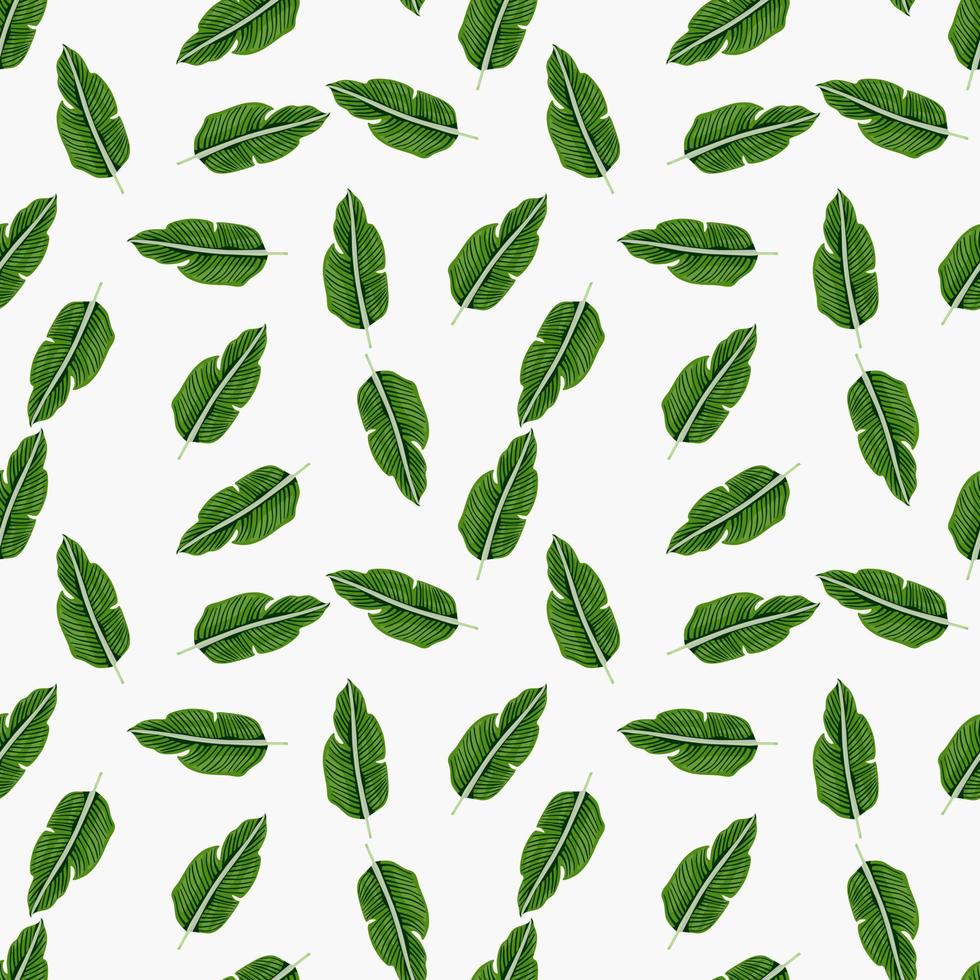 Tropical leaf seamless pattern. Exotic leaves background. Jungle plants endless wallpaper. Rainforest floral hawaiian backdrop. vector