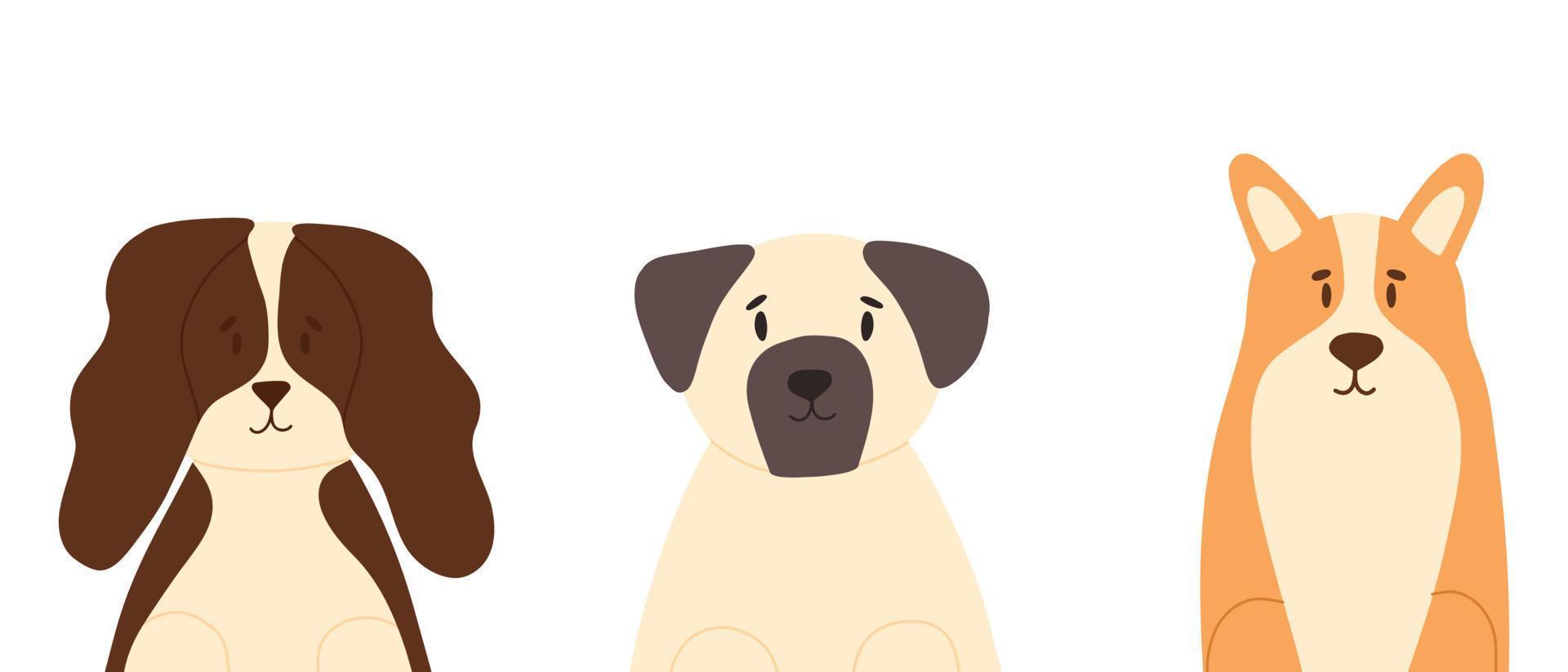 Set of dogs in flat style. Vector illustration. Collection of purebred dogs isolated on white background. Spaniel, pug, corgi.