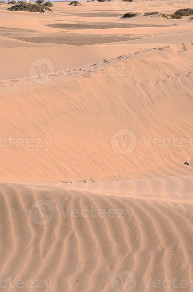 Scenic desert landscape photo