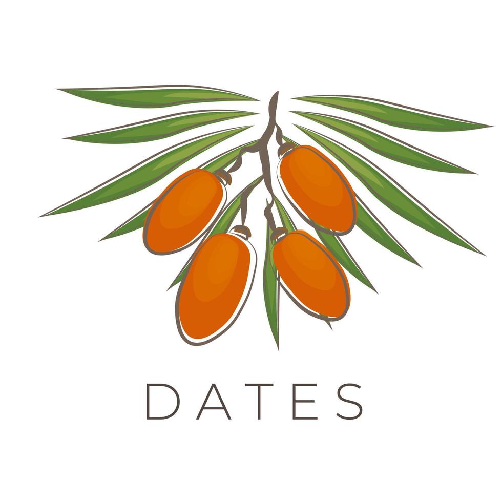 Date Fruit Illustration Logo With Leaf vector