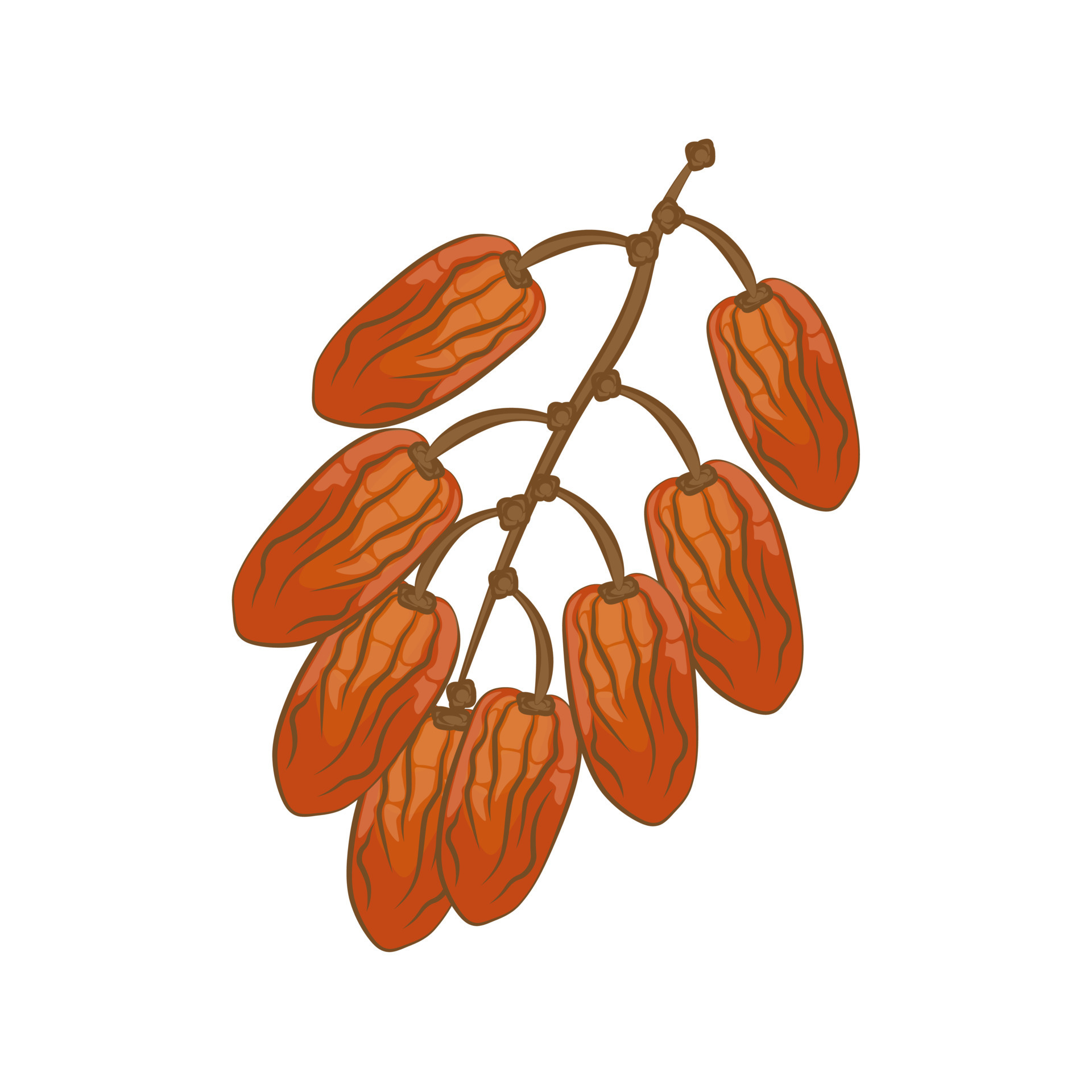 Date Fruit Cartoon Illustration Logo 22244050 Vector Art at Vecteezy