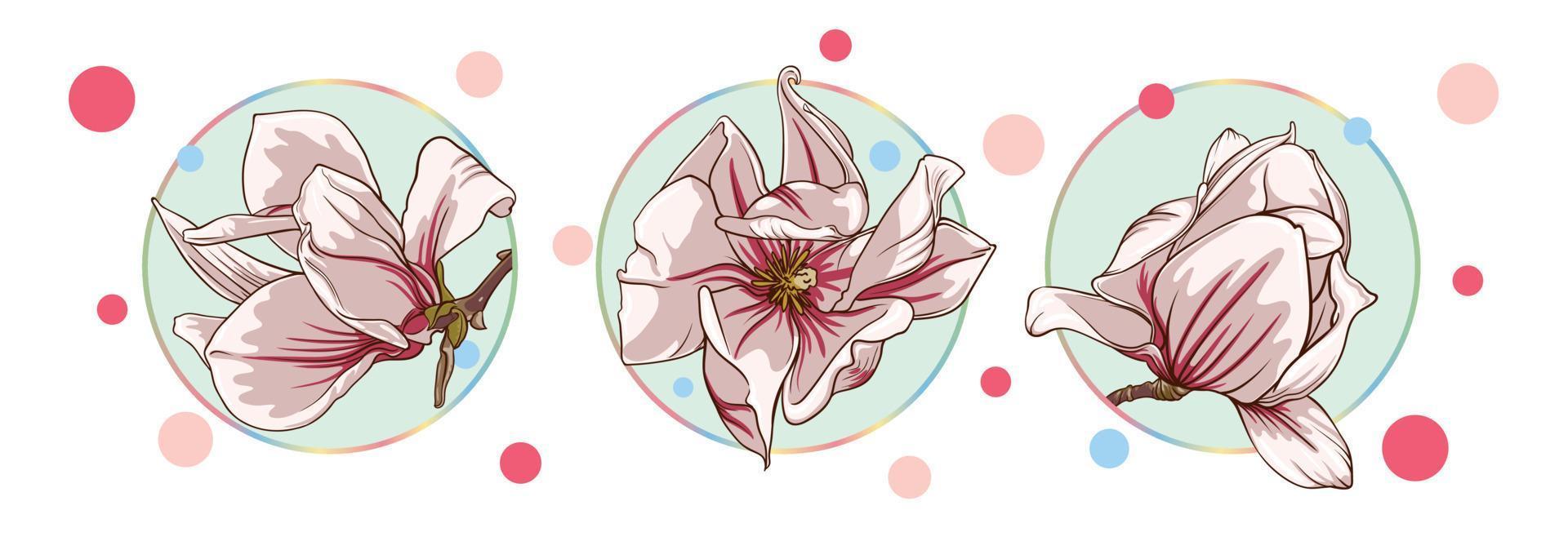 set of cards with magnolia and lotus flowers isolated in a turquoise circle on a white background with colorful dots. green leaves, open buds, closed buds, pink and purple flowers vector