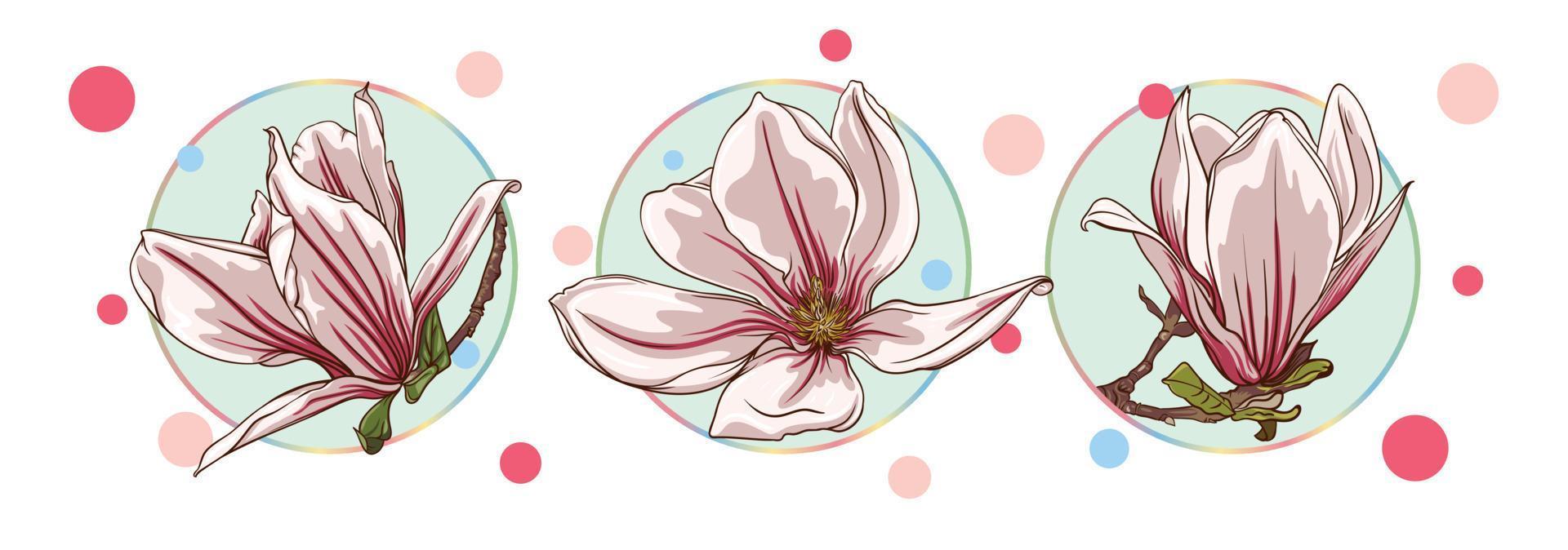 set of cards with magnolia and lotus flowers isolated in a turquoise circle on a white background with colorful dots. green leaves, open buds, closed buds, pink and purple flowers. vector illustration