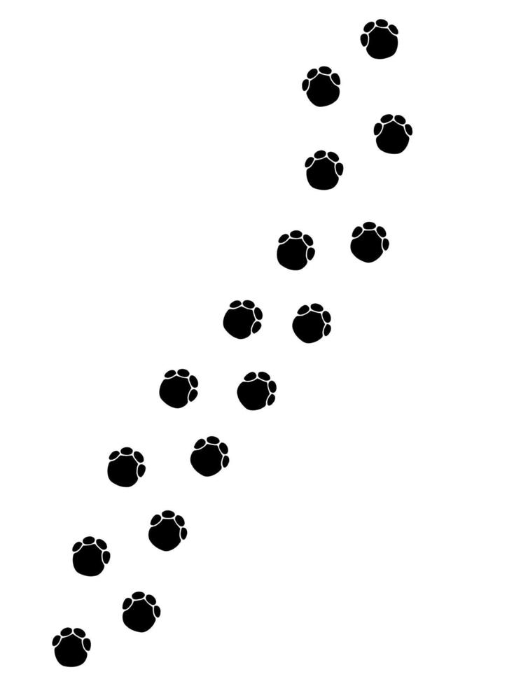 Vector hand drawn elephant paw foot print